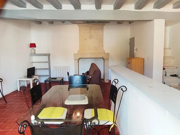 Chinon Centre Grand Duplex