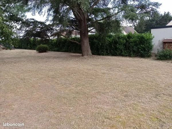 Terrain à batir 1115 m²