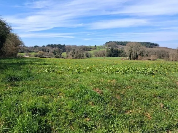 Terrain à bâtir Vente Neuvic-Entier  1508m² 18000€