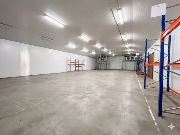Immobilier Professionnel à louer Lons
