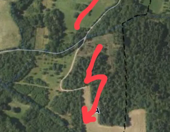 Forêt ,bois ,terres