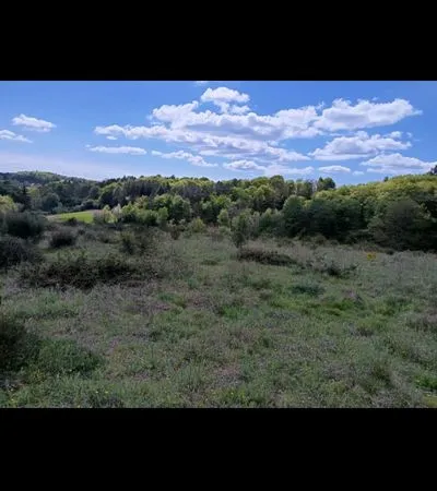Terrain agricole 2.6 ha