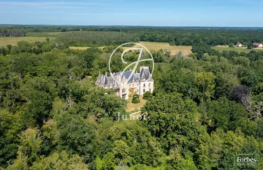 Château 40 pièces 1173 m²