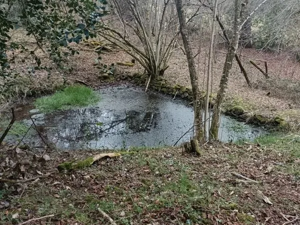 Parcelle de bois et terrain agricole