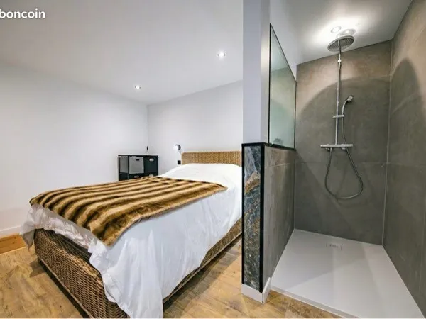 Appartement duplex rénove meublé