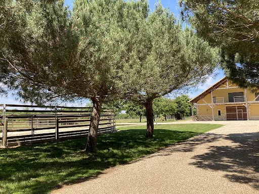 Propriété 13 pièces 480 m²