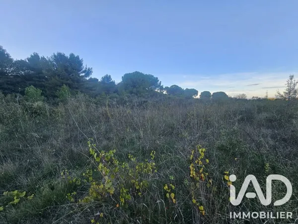 Terrain 9920 m²