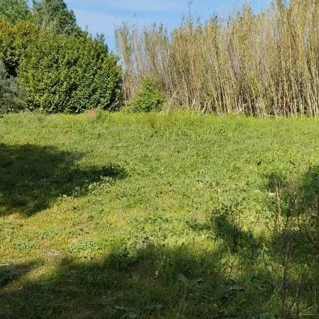 Terrain agricole