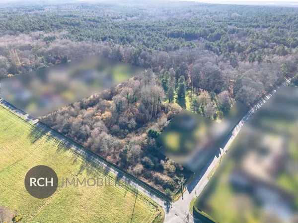Entre Montfort-l'Amaury et Gambais - Grand terrain à bâtir de 10 031 m2 dans un bel environnement