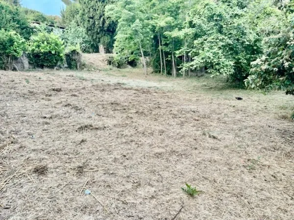 Terrain 1278 m²