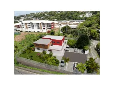 Local professionnel de 300 m2 divisible quartier Mahault