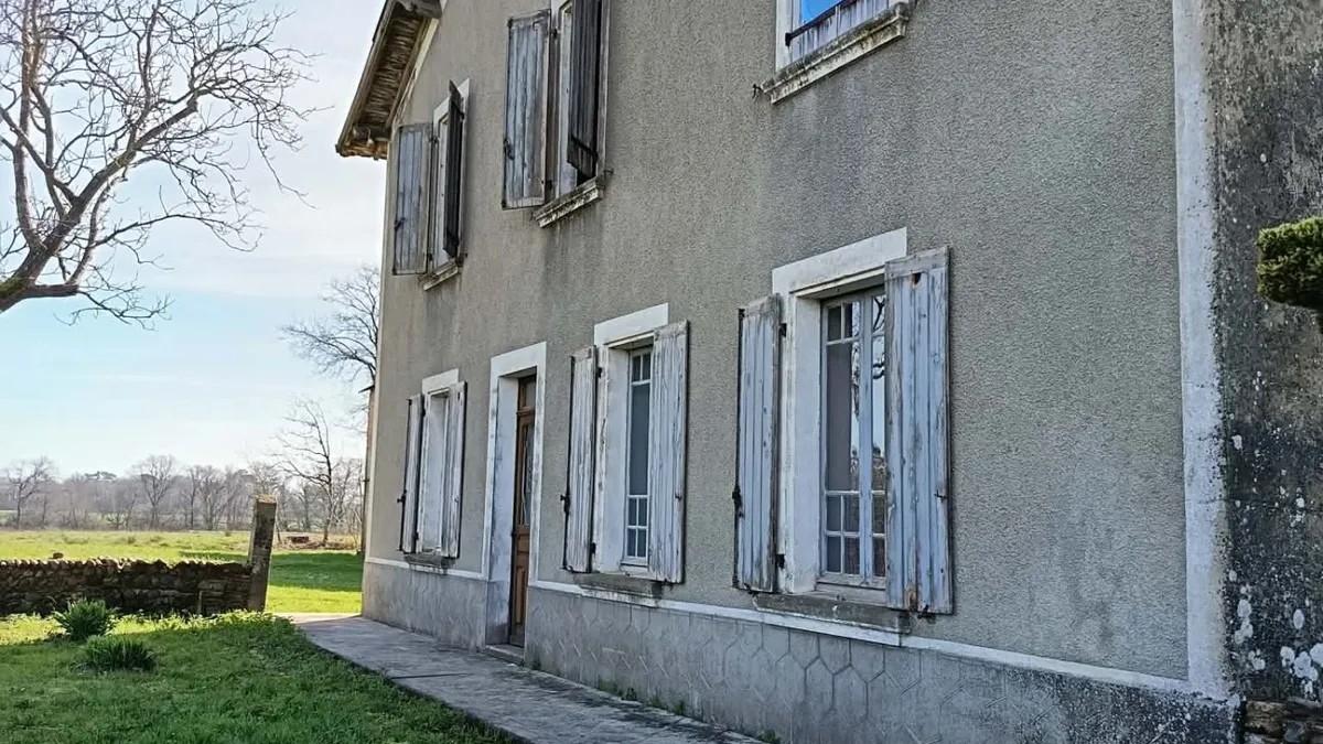 Photo 5