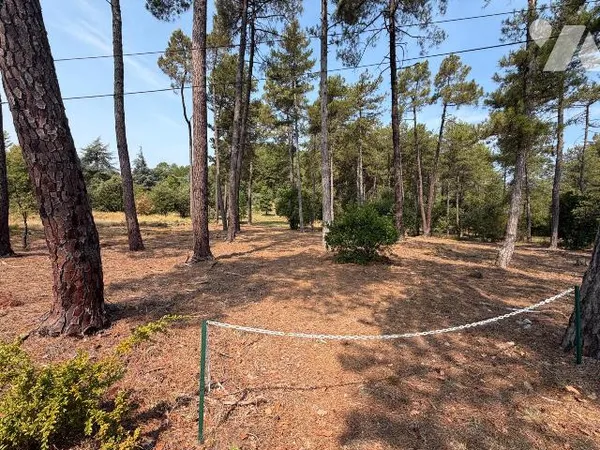 Terrain 3973 m²