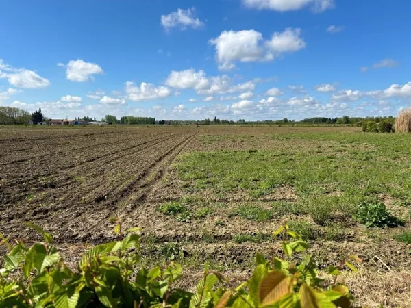 Terrain 1000 m²