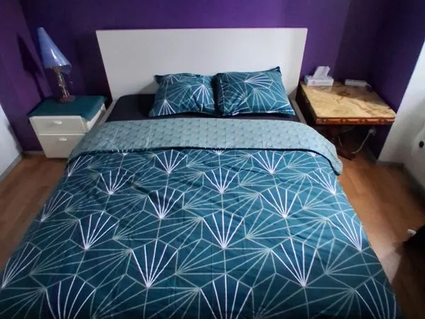 Chambre Colocation Colmar 2p 450€