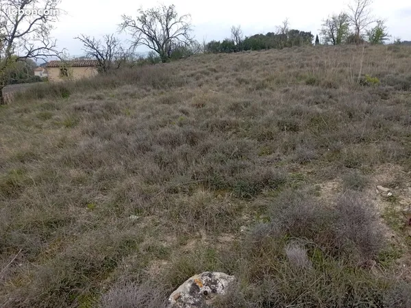 Terrain agricole