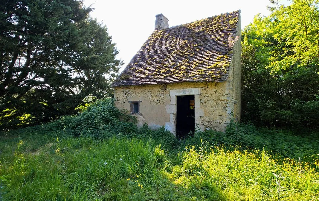 Photo 8