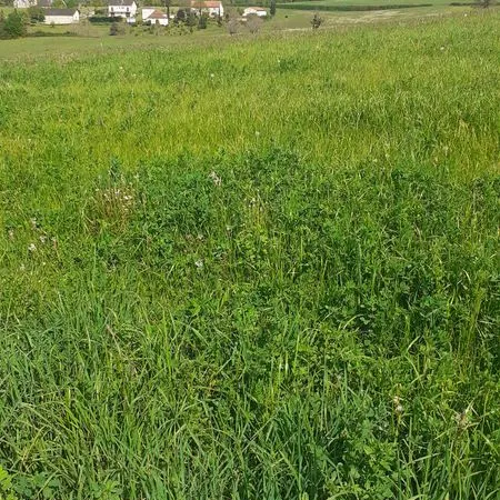 Terrain à bâtir