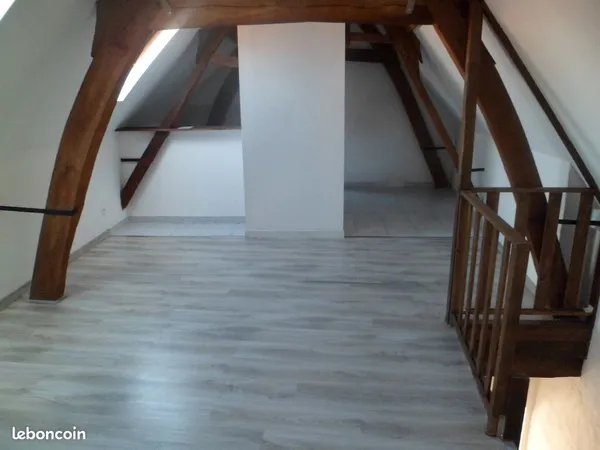 Bel Appartement LOFT lumineux 50m²