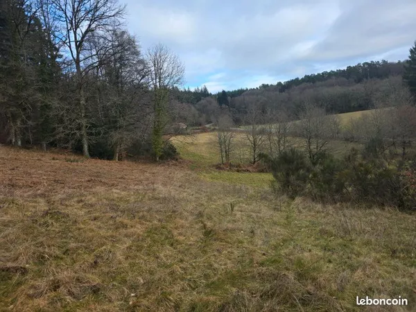 Terrain constructible