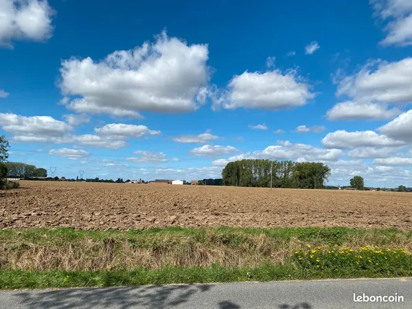 STEENWERCK - Loue chasse sur 58830M2