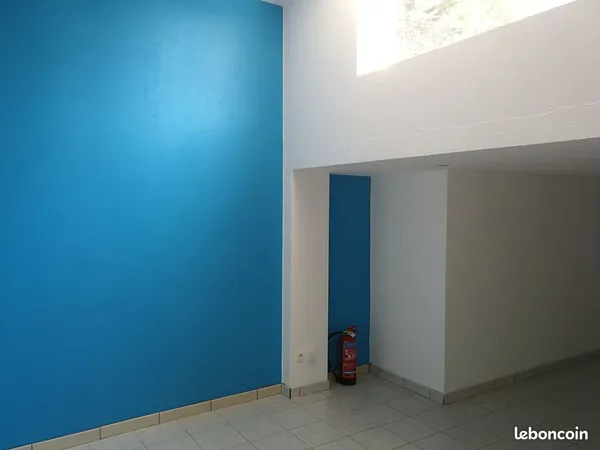 Local professionnel
