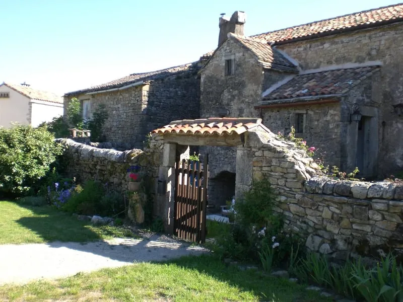 Photo 10