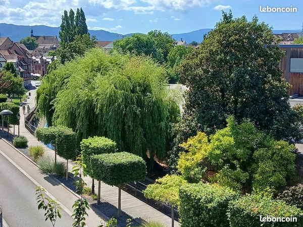 Beau F2 Colmar ascenseur, garage, belle vue sur la vielle ville