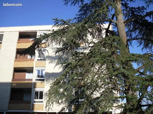 Appartement 3 pièces 77 m²