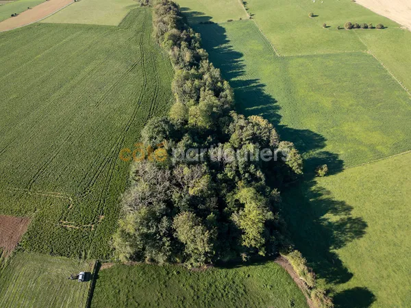 GUINECOURT : BOSQUET 3020m2