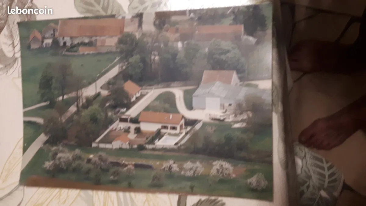 Photo 1