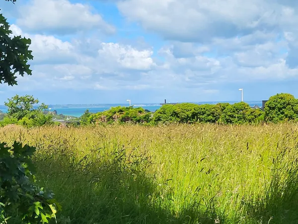 Terrain à bâtir