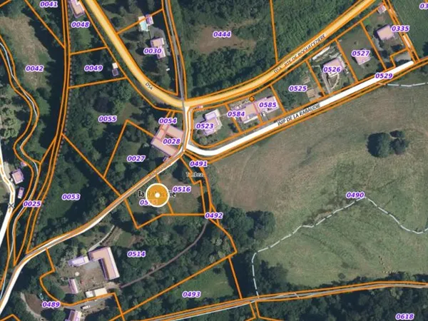 Vente | Terrain constructible | 3000 m² | Viane | Piscine