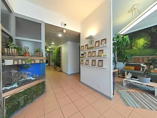 Local commercial Montfavet 10 pièce(s) 213 m2