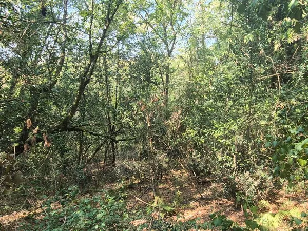 Terrain 1337 m² SAINT FIACRE SUR MAINE