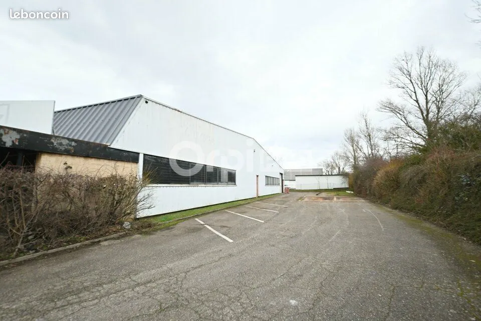 Photo 11