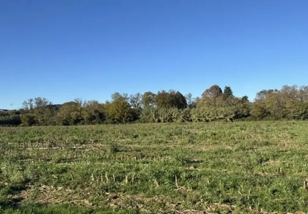 Terrain 2058 m²