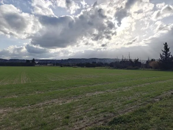 terrain a vendre sur montfaucon - 99000€