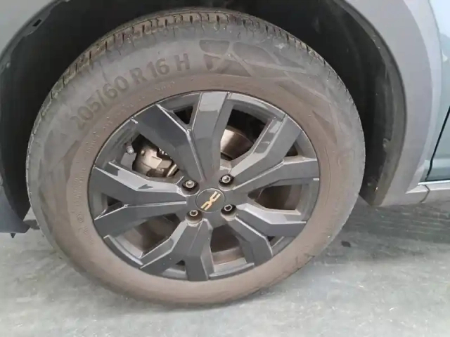 Dacia Sandero eco-g 100 — photo 17