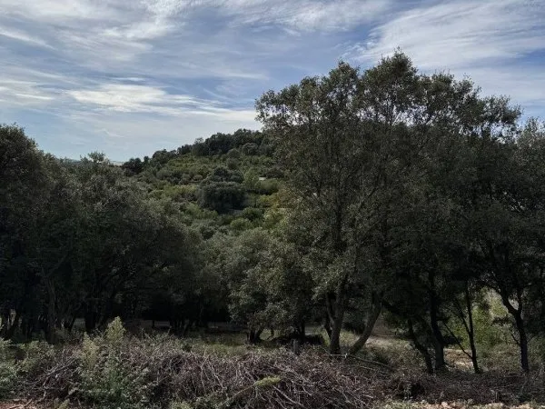 Terrain constructible 817 m²