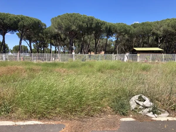 Terrain 292 m²