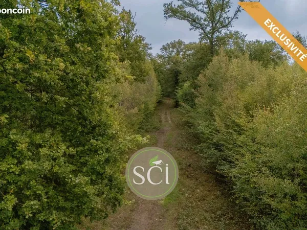 Propriété 245000 m² Cercottes