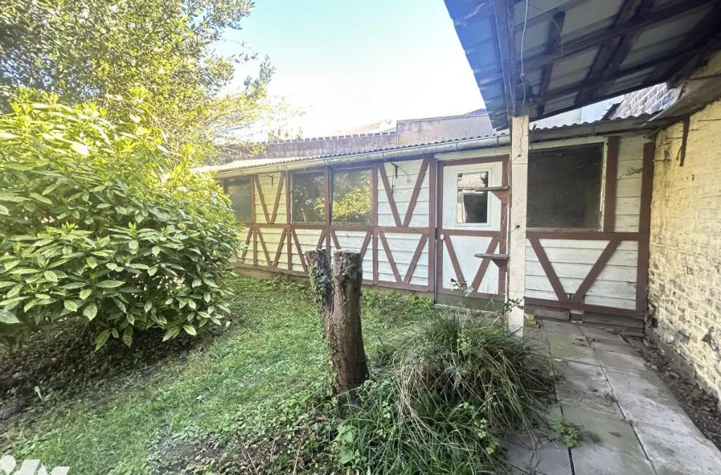 Photo 16