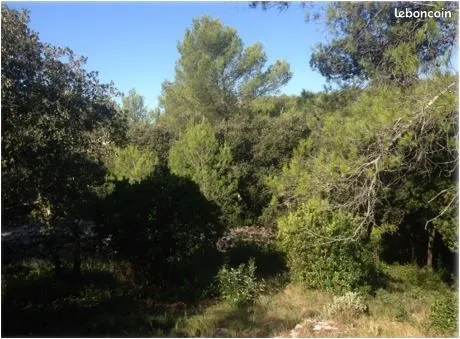 Terrain 3 000 m² Nimes