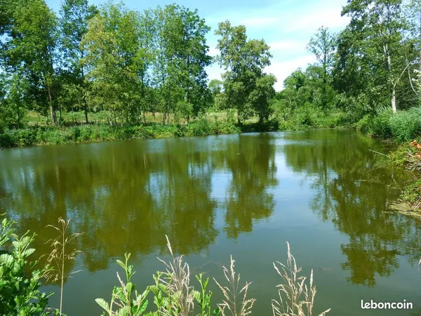 4 étangs 7000 m2 sur terrain de 24.273 m2 La Ferté-Milon (02460)