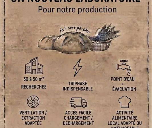 Recherche local professionnel