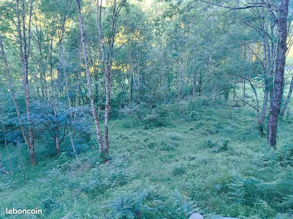 Terrain constructible 2100m2