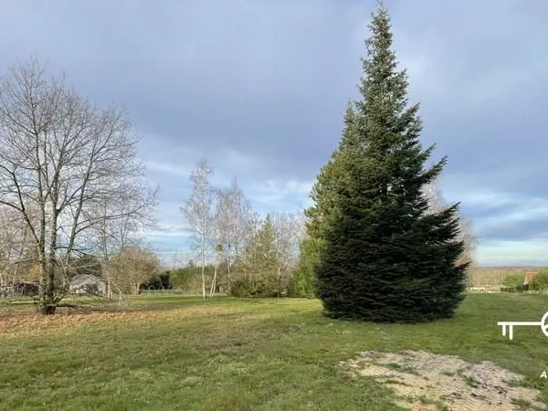 Terrain Montrieux En Sologne 996 m2