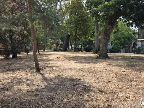 Terrain constructible