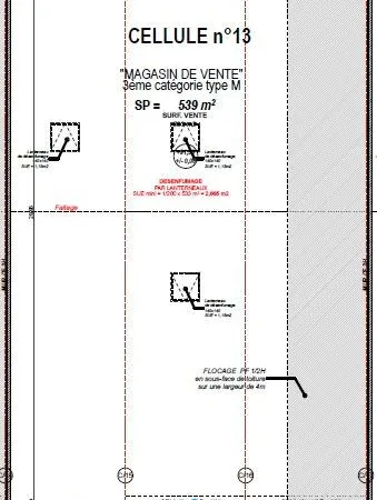 Local commercial 539 m²